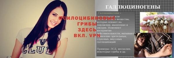 прущая мука Осташков